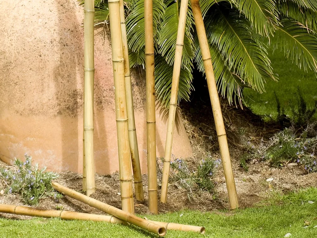 Suinga Lot de 15 piquets décoratifs en bambou - 180 cm - 35/40 mm - Piquets ronds en bois - Piquets de jardin - Séparation de pièce