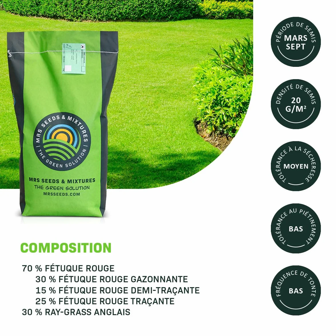 MRS Green Perfection Semences de gazon d'ornement 1 kg pour 50 m²