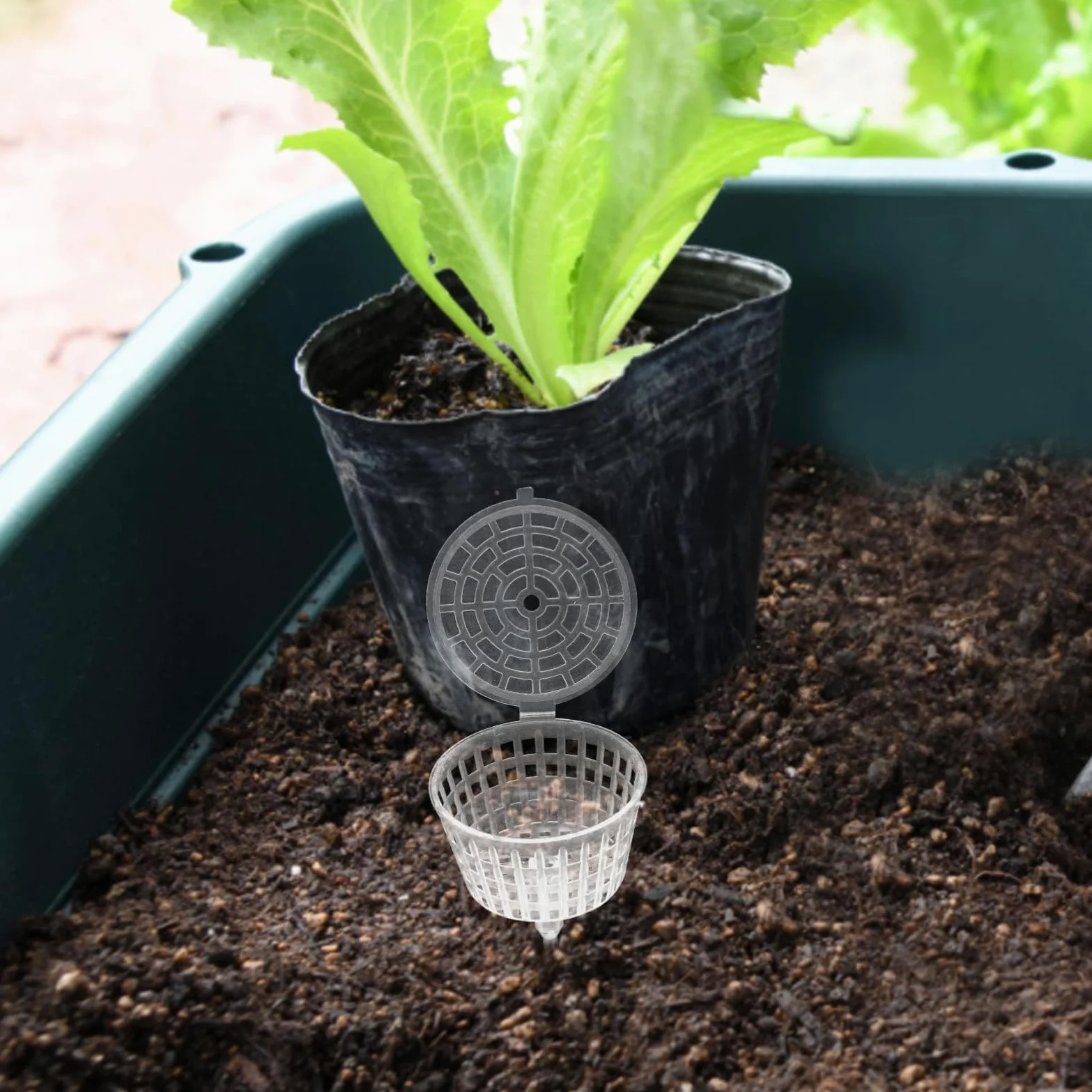 Boîte à Engrais en Plastique pour Bonsaï, 15 Pièces, Blanc | Panier à Couvercle pour Fertilisant, Usage Plantation et Bonsaï, Réutilisable, Limite les Pertes