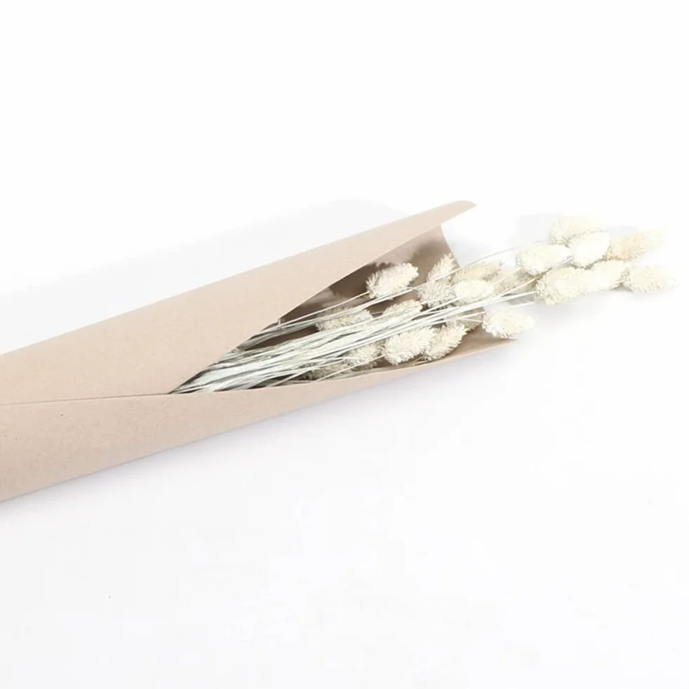 Chaks Bouquet PHALARIS SÉCHÉS Misty 64CM Blanc