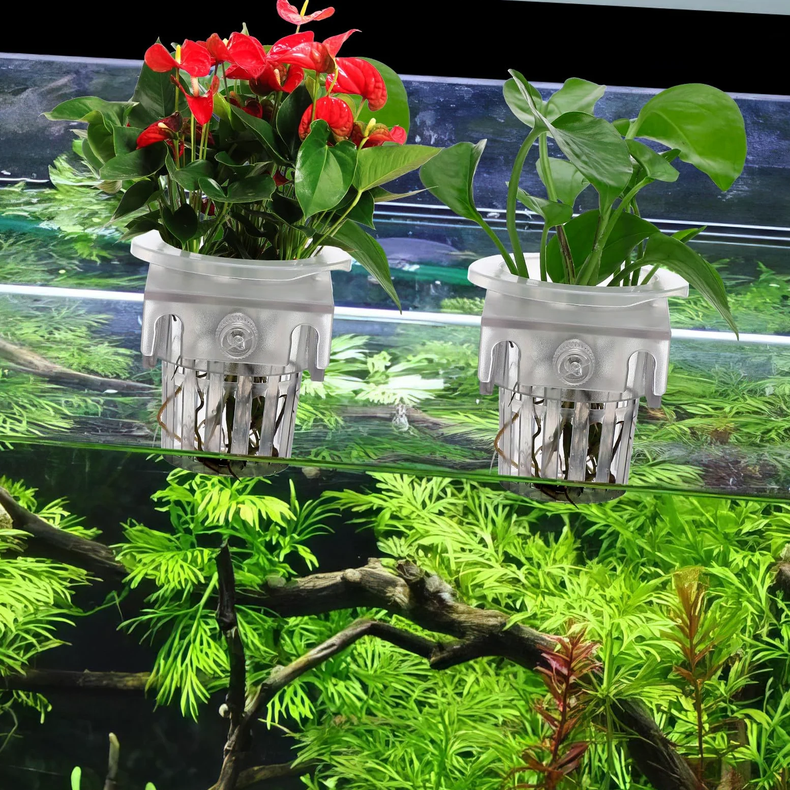 SUPVOX Lot de 4 supports de plantes à suspendre pour aquarium avec ventouses – Paniers de plantes pour aquarium et décoration d'aquarium