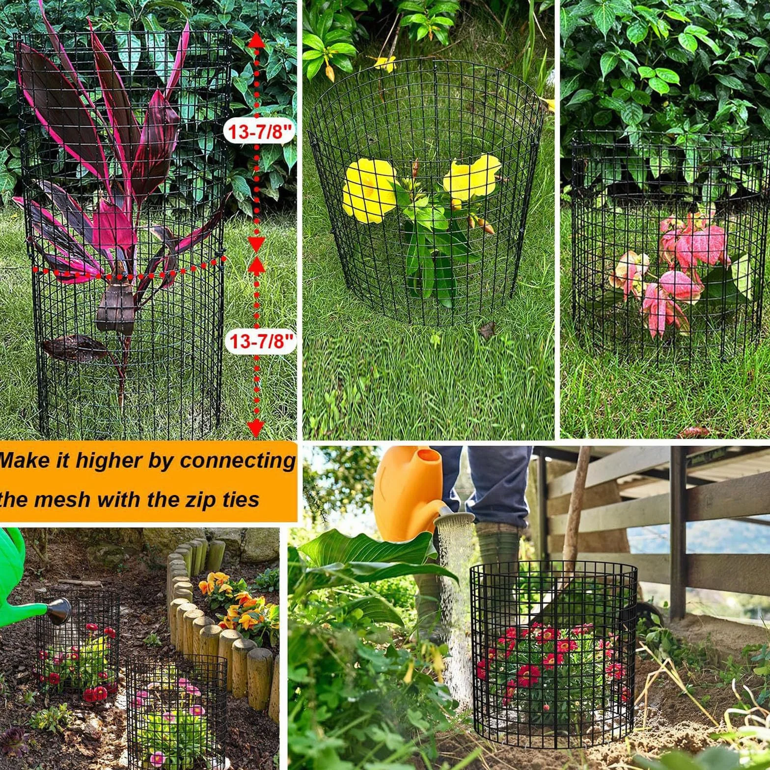 Protecteur de Plantes Inox 30,5 cm Cage de Protection pour Jardin