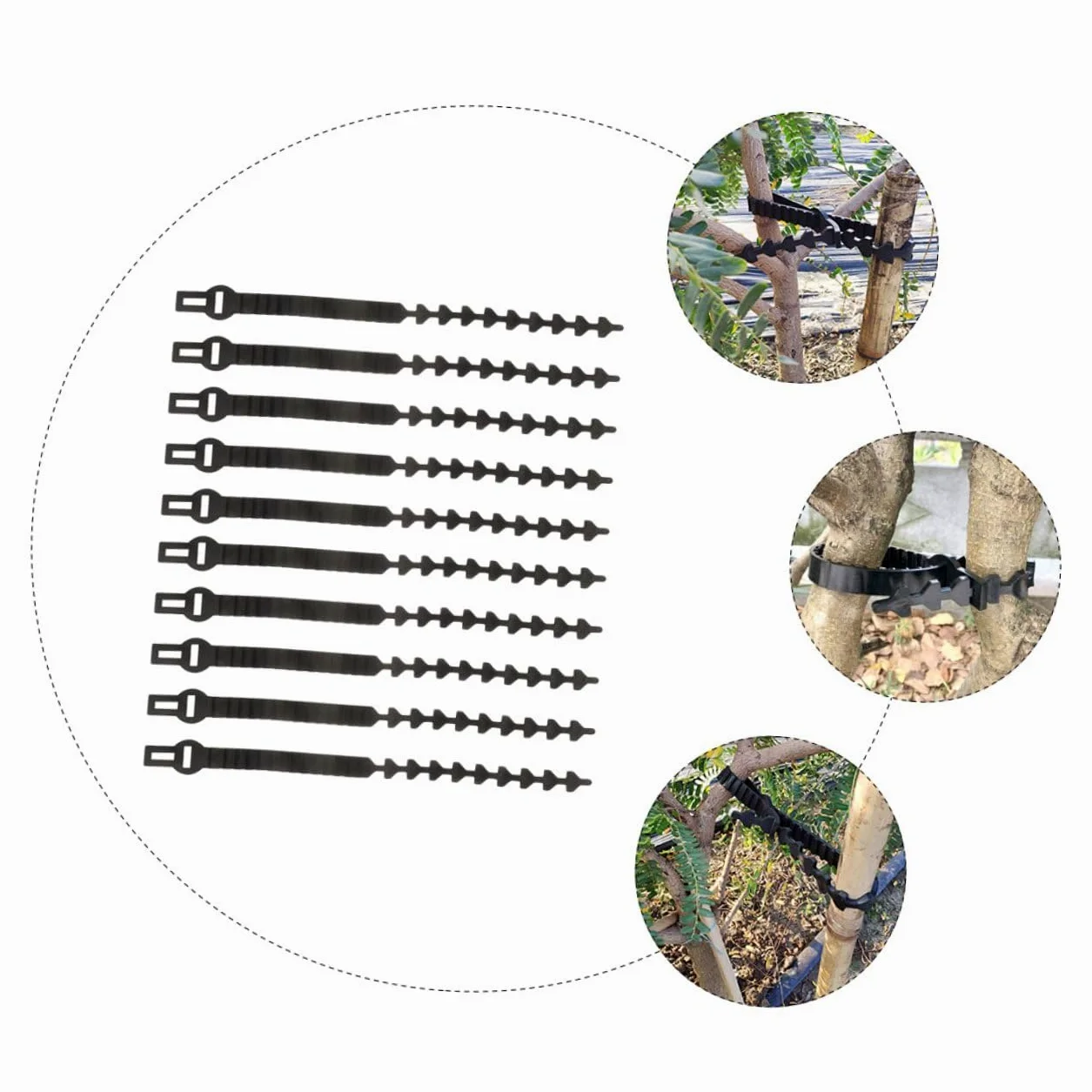 Lot de 10 Sangles en Caoutchouc pour Attache d'arbre Fruitier, Supports Robustes et Ajustables pour Fixation et Formation des Jeunes Plants