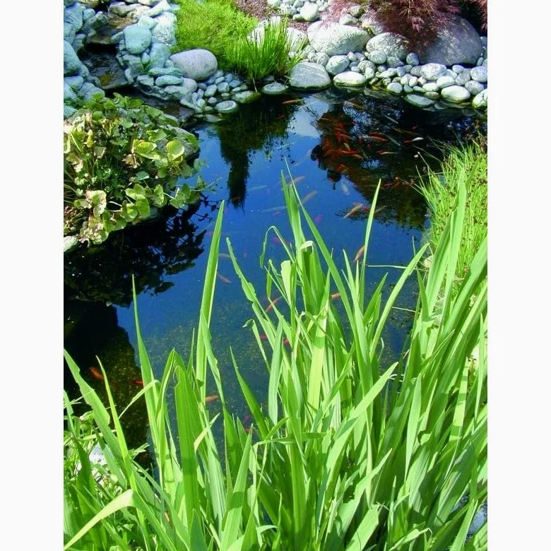 Jardiprotec Bâche PVC 0,6mm - 4x6m (24m²)