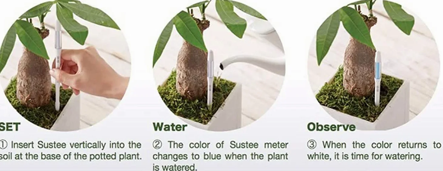IPPINKA Sustee Aquameter – Lot de 24 – Humidimètre de sol pour plantes d'intérieur – Vert moyen rechargeable