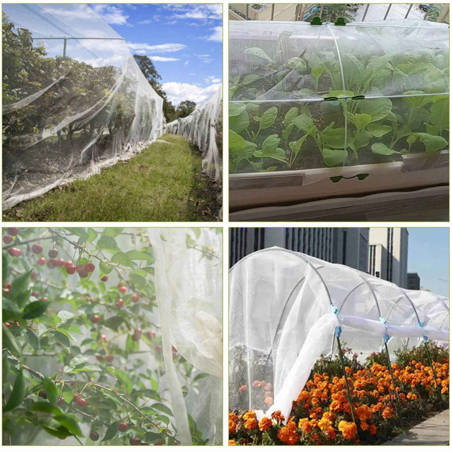Filet à légumes de Jardin 3 x 6 m - Filet de Protection Contre Les Insectes pour Plantes et Légumes