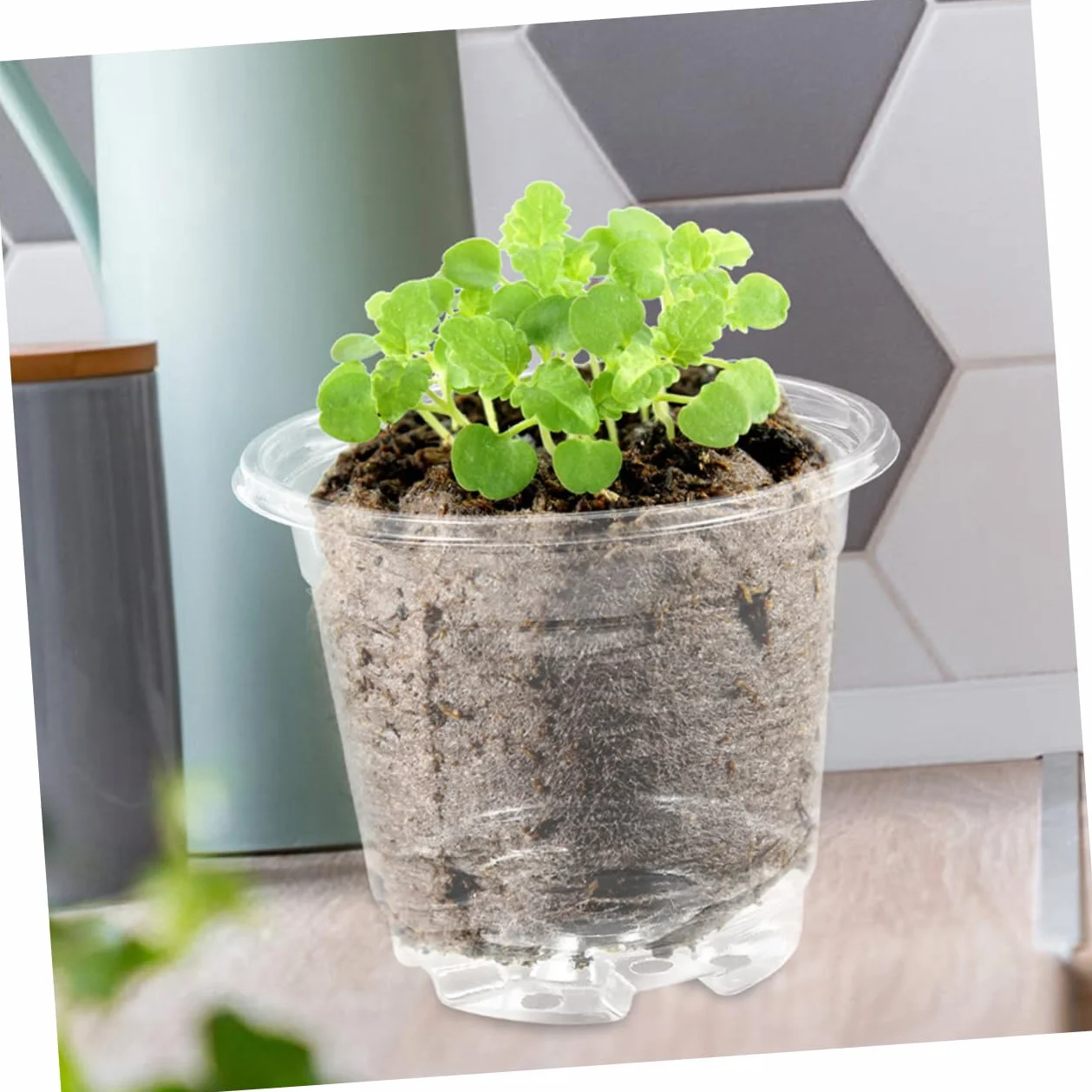 TOYANDONA Lot de 10 Sets de Petits Pots de Fleurs avec Couvercle Trous de Drainage Ajustement Température Humidité Jardinage Intérieur Extérieur