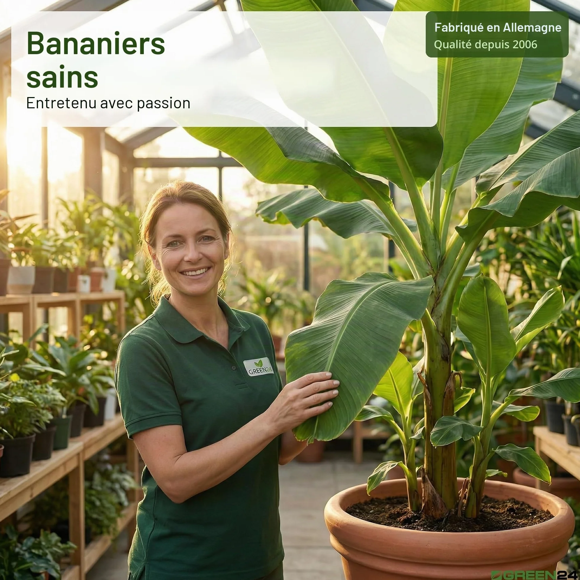 Green24 Engrais pour bananes Musa Haute technologie