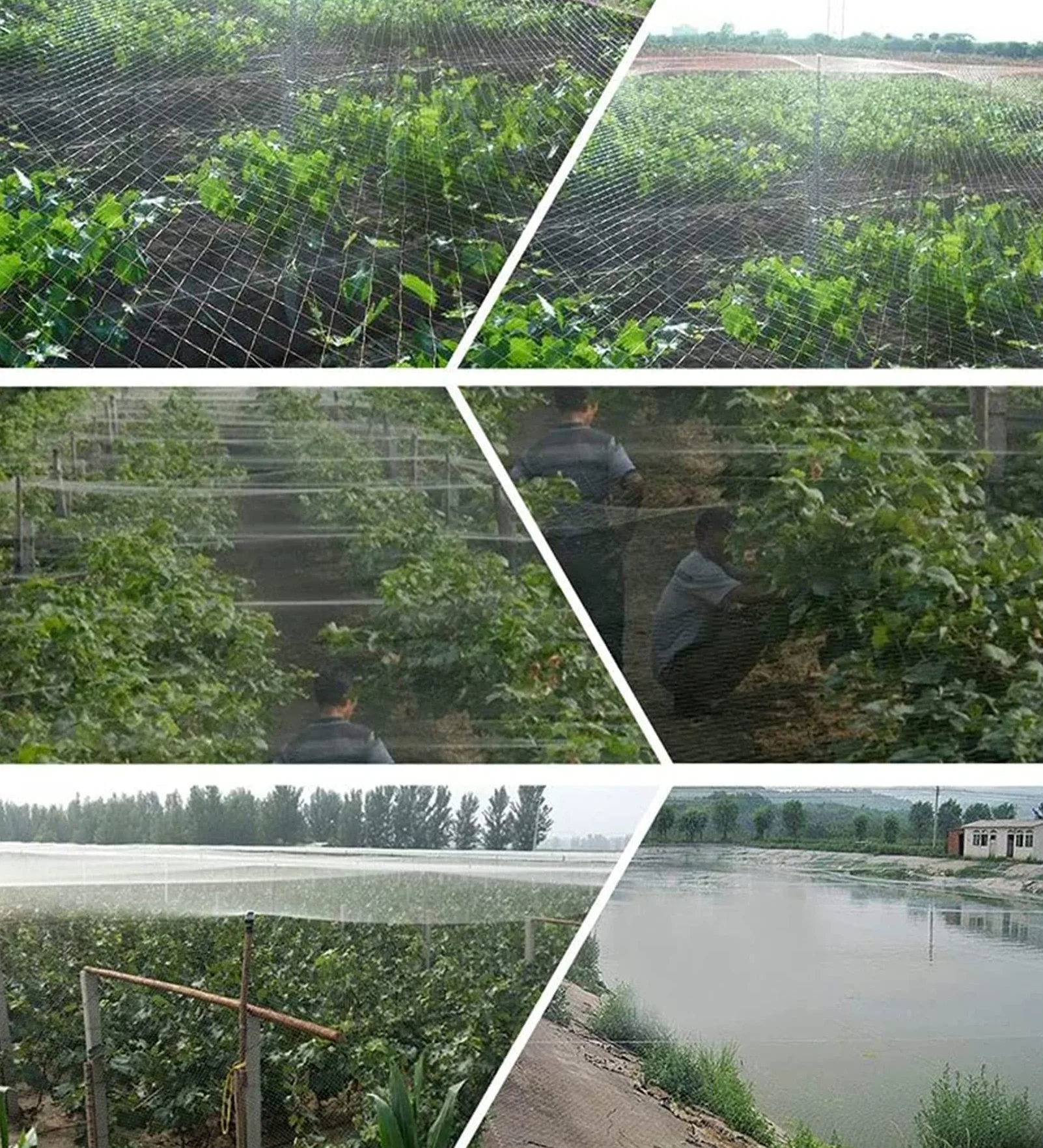 Filet Anti Oiseaux en Maille Filet de Protection Jardin(5m x 15m) | Filet Anti Pigeon Transparent, Filet Anti-Oiseaux pour Balcon, Bassin, Fruits, Légumes et Plantes, Oiseaux Contrôle