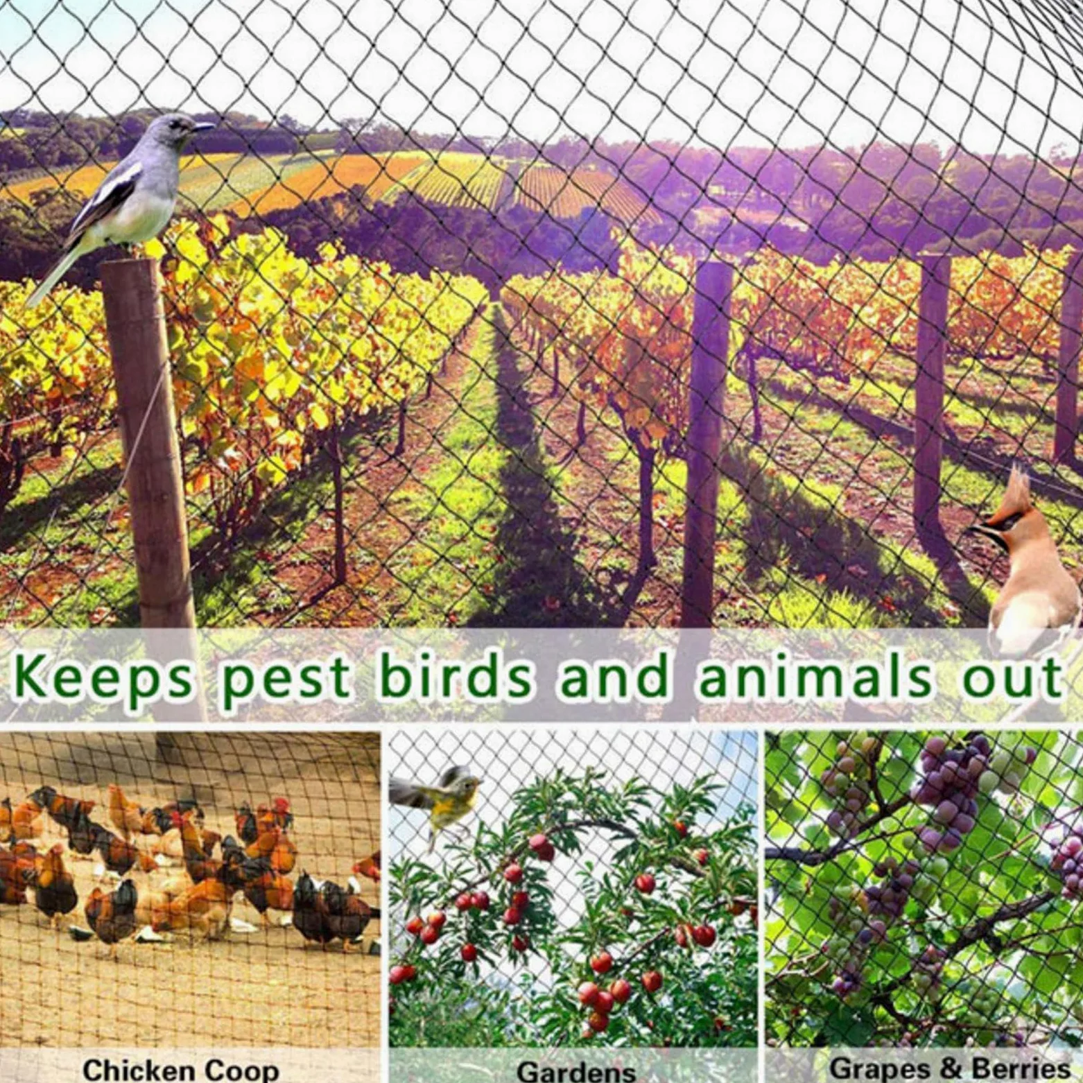 Filet Protection Oiseaux Potager Filet de Protection pour Jardin Légumes Mesh Net pour Oiseaux Contrôle,10x10m