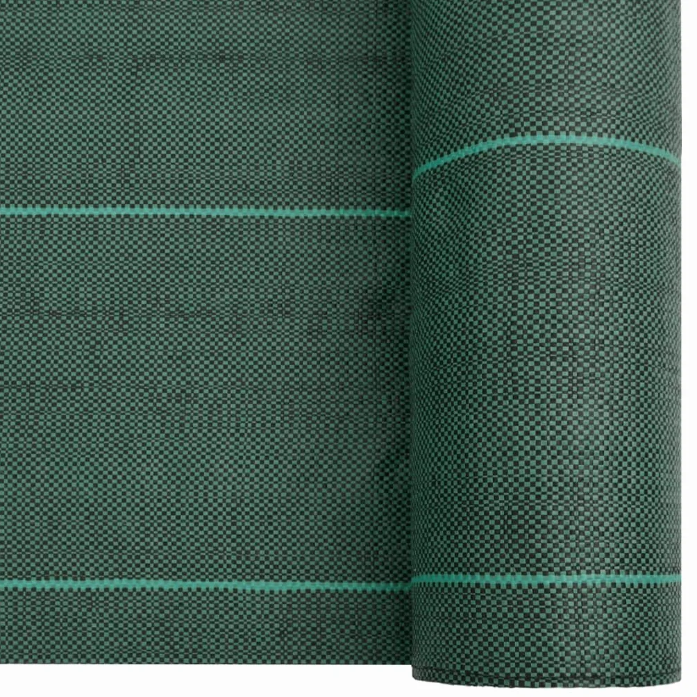 Tomostar Toile de Paillage, Géotextile de Paillage Contre Les Mauvais Herbes Toile Bâche Anti Mauvaises Herbes Vert 2x50 m PP