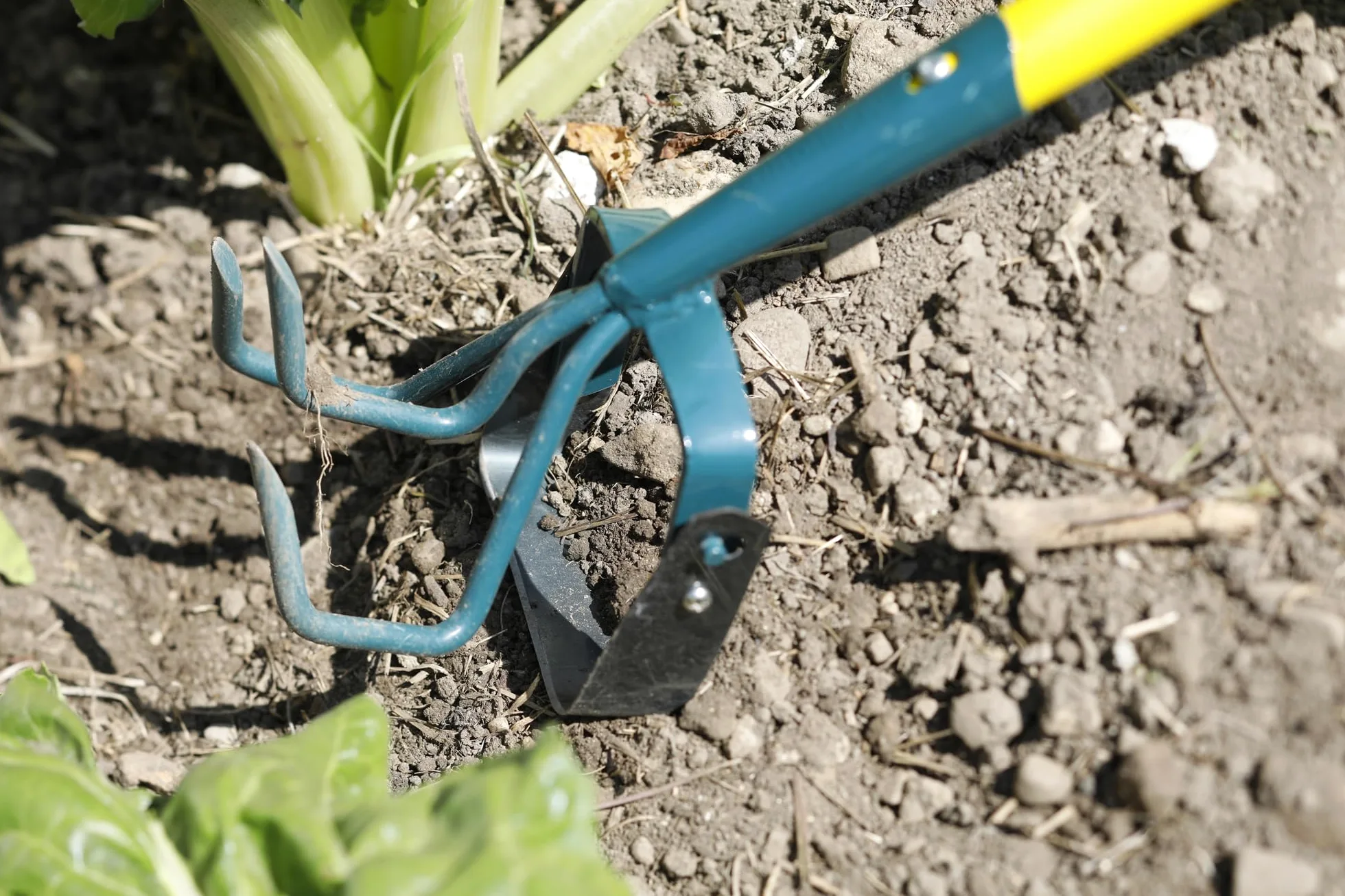 Griffe 3 dents + grattoir oscillant NaturOvert – outil désherbage et ameublissement sol – lame acier trempé 38-46 HRC – jardinage précis