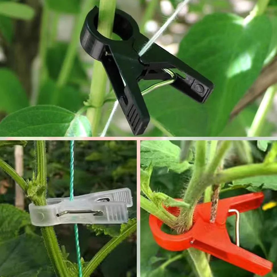 Lot de 30 clips de support de plantes pour treillis, pinces durables pour tomates et légumes du jardin, fixations faciles à utiliser, tailles 18 mm/30 mm