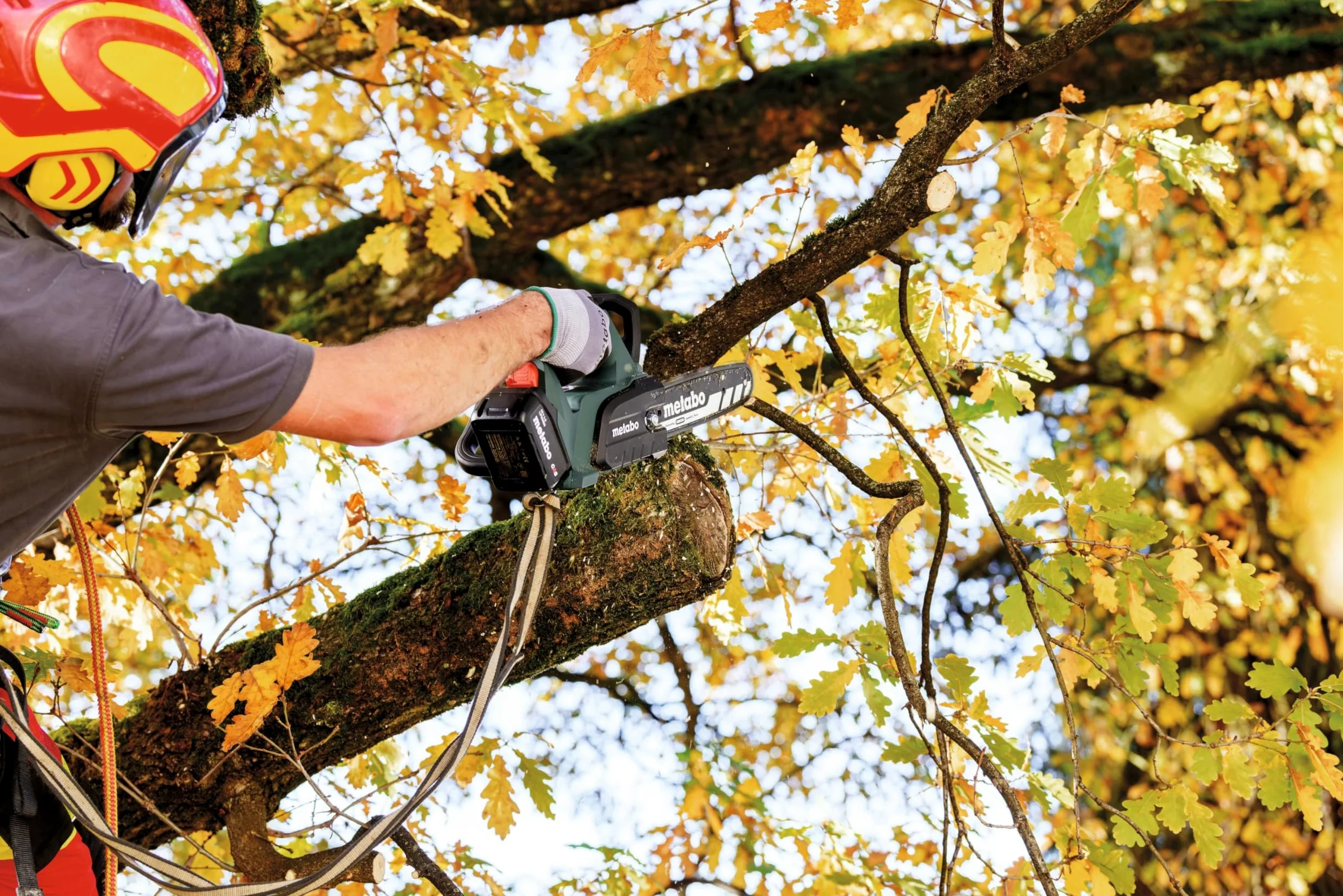 metabo Tronçonneuse sans fil MS 18 LTX BL 25-18 V, CAS, 25 cm, Oregon SpeedCut Nano - Brushless, interrupteur de sécurité, arrêt rapide de chaîne, tronçonneuse légère et compacte pour l'entretien des