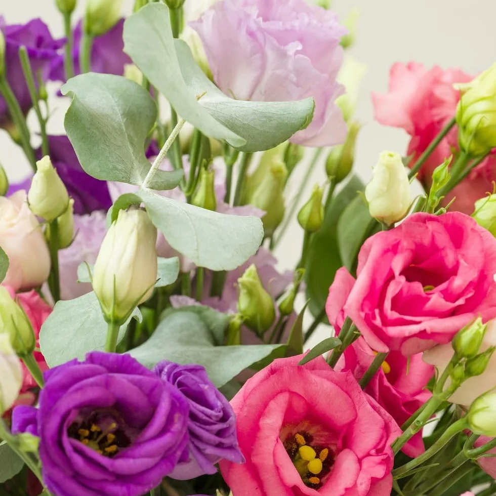 Bouquet de Lisianthus Rose Blanc Violet Fleurs Fraîches Saison Cadeau Anniversaire