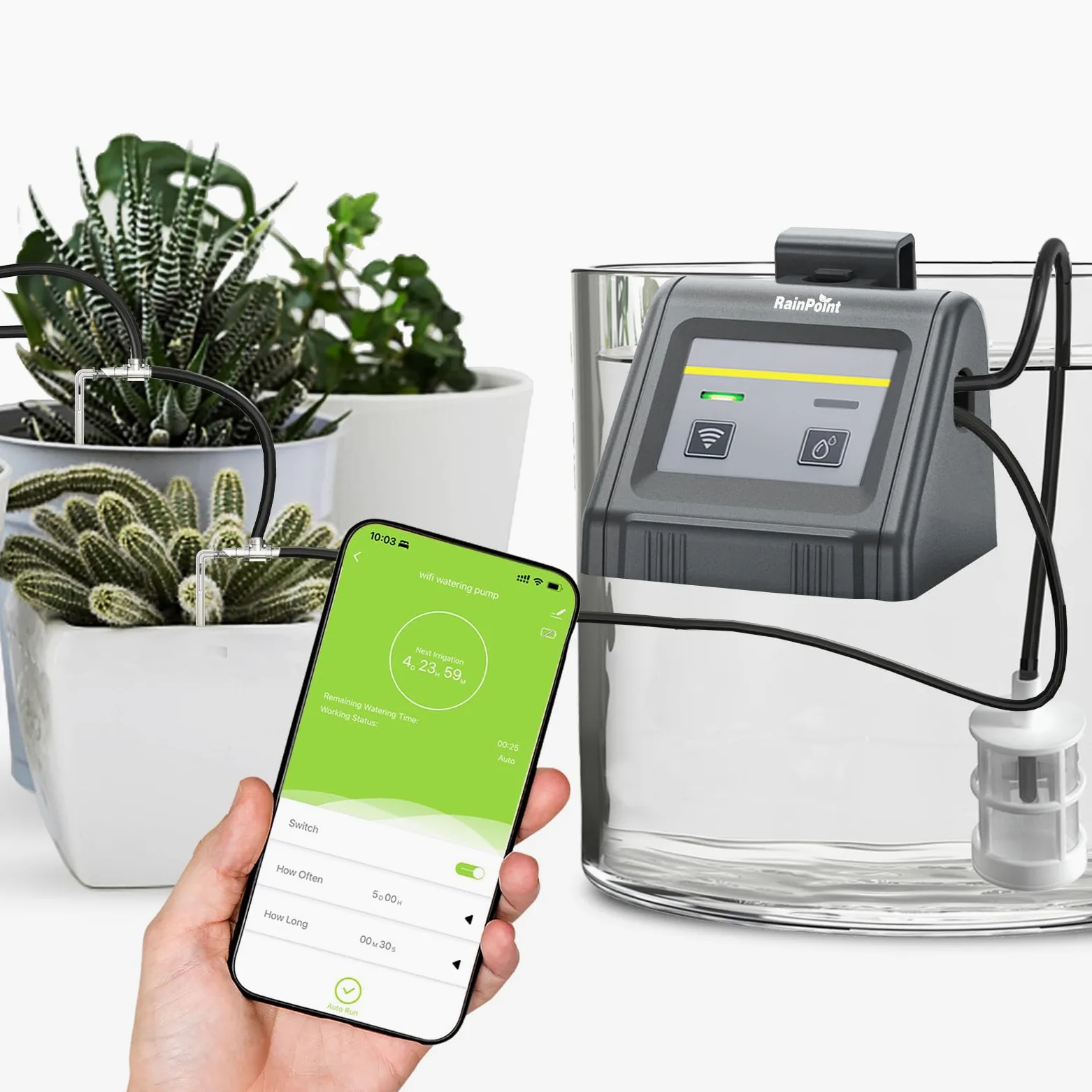 RAINTPOINT WiFiF Kit d'arrosage automatique goutte à goutte avec pompe