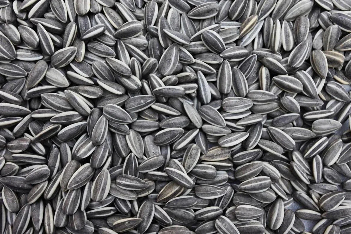 Graines de tournesol rayées 20 kg pour oiseaux