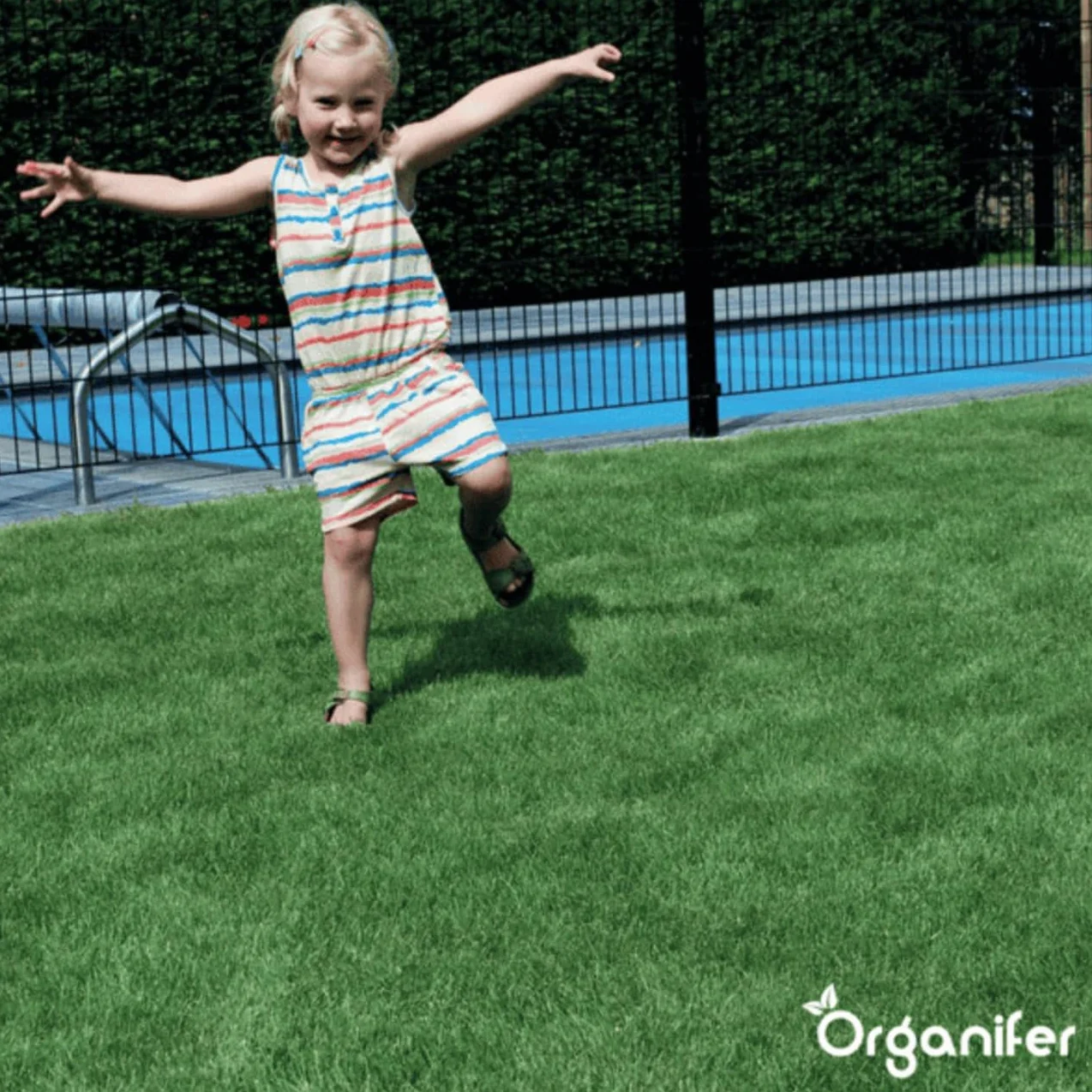 Organifer Graines De Gazon À Germination Rapide 1 Kg 50 M2 Pelouses Sportives