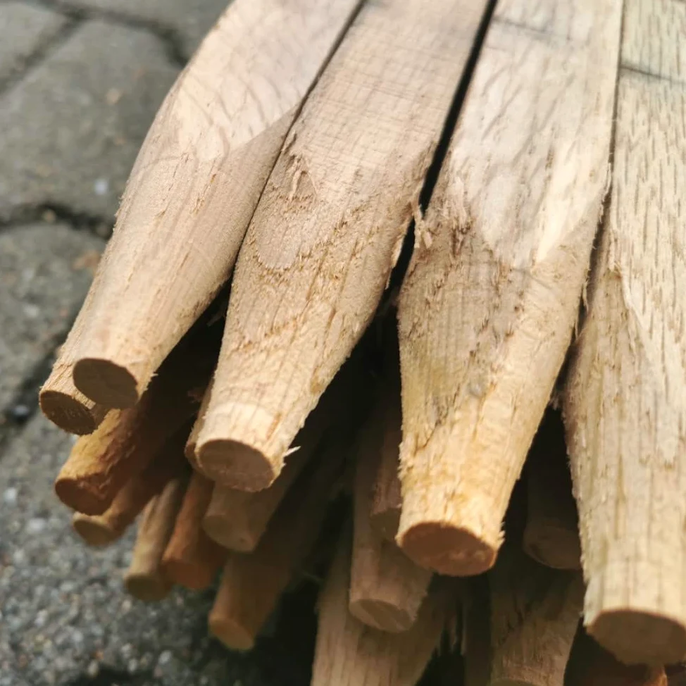 Poteaux en Bois Dur, piquets de Plantes, piquets en Bois, tiges en Bois de robini, Pointus 2,0 m, Ø 25 x 25 mm 2,0m