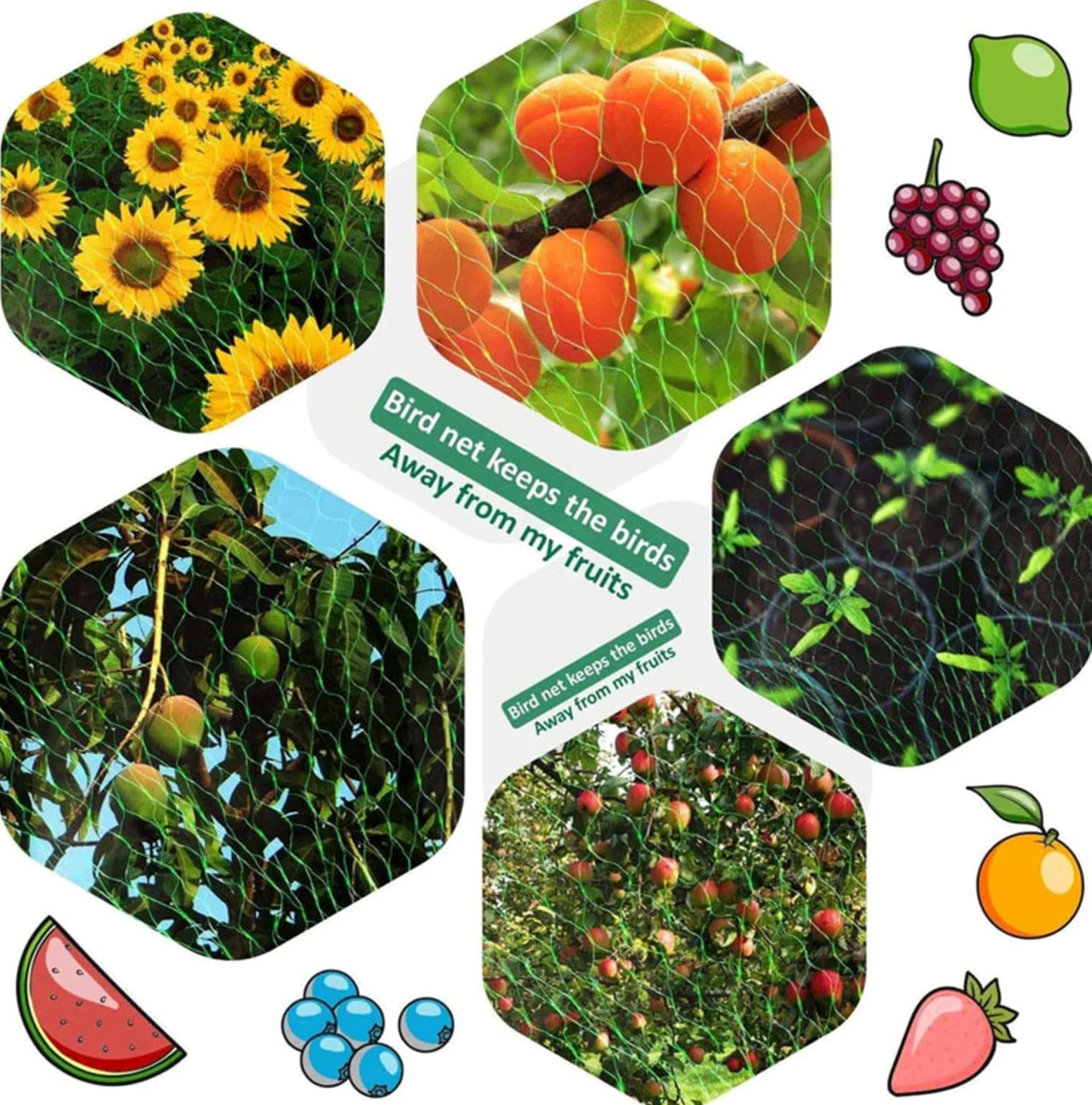 Filet Protection Oiseaux Potager Filets pour Jardin Potager Idéal pour Prévenir Les Oiseaux et Les Gros Insectes,3x10m