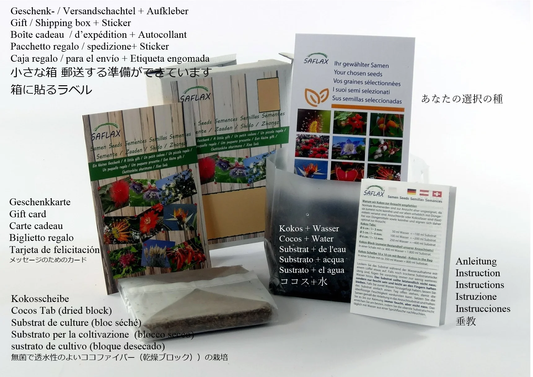 SAFLAX Kit cadeau Cornouiller du Japon 30 graines Cornus kousa var. chinensis