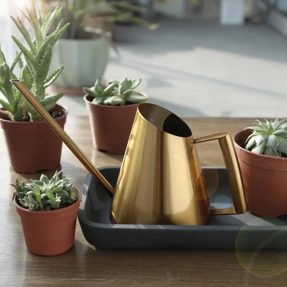 Arrosoirs Arrosoir en Acier Inoxydable, Petit Pot avec poignée for Plantes à Fleurs, Outil de Douche de Jardin