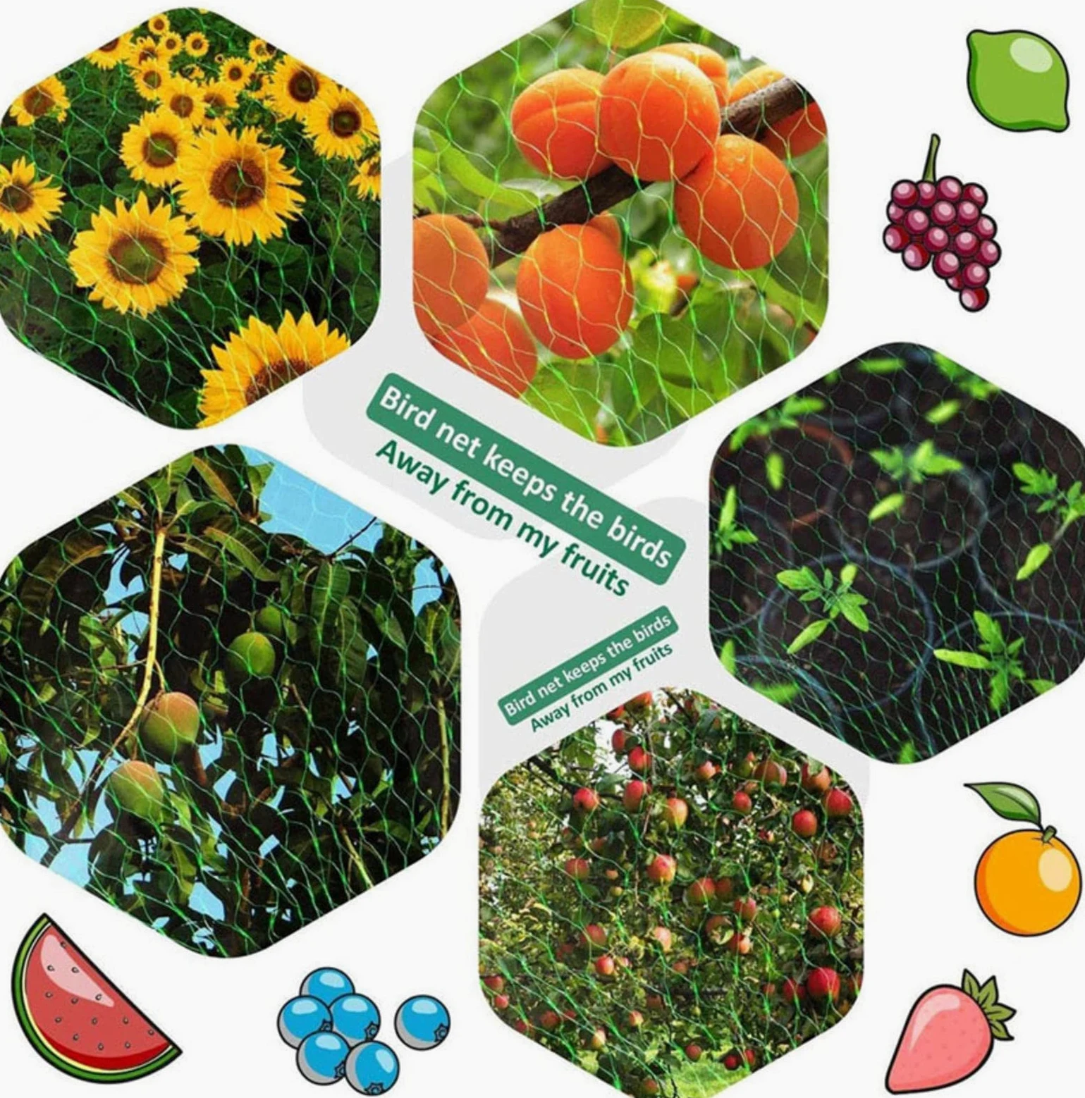 Filet Anti Oiseaux Potager Filet Jardin Potager Grimpant Treillis Plante Grimpante Exterieur Légumes Mesh Net pour Oiseaux Contrôle,10x10m