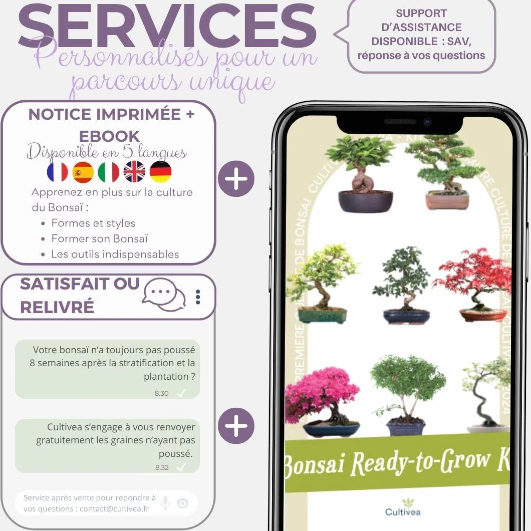 CULTIVEA® Kit First Bonsai - Kit de première culture de Bonsaï - Prêt à Pousser avec Graines & Accessoires - Made In France (Cercis Chinensis)