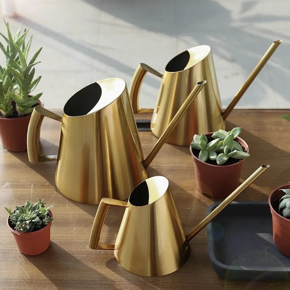 Arrosoirs Arrosoir en Acier Inoxydable, Petit Pot avec poignée for Plantes à Fleurs, Outil de Douche de Jardin