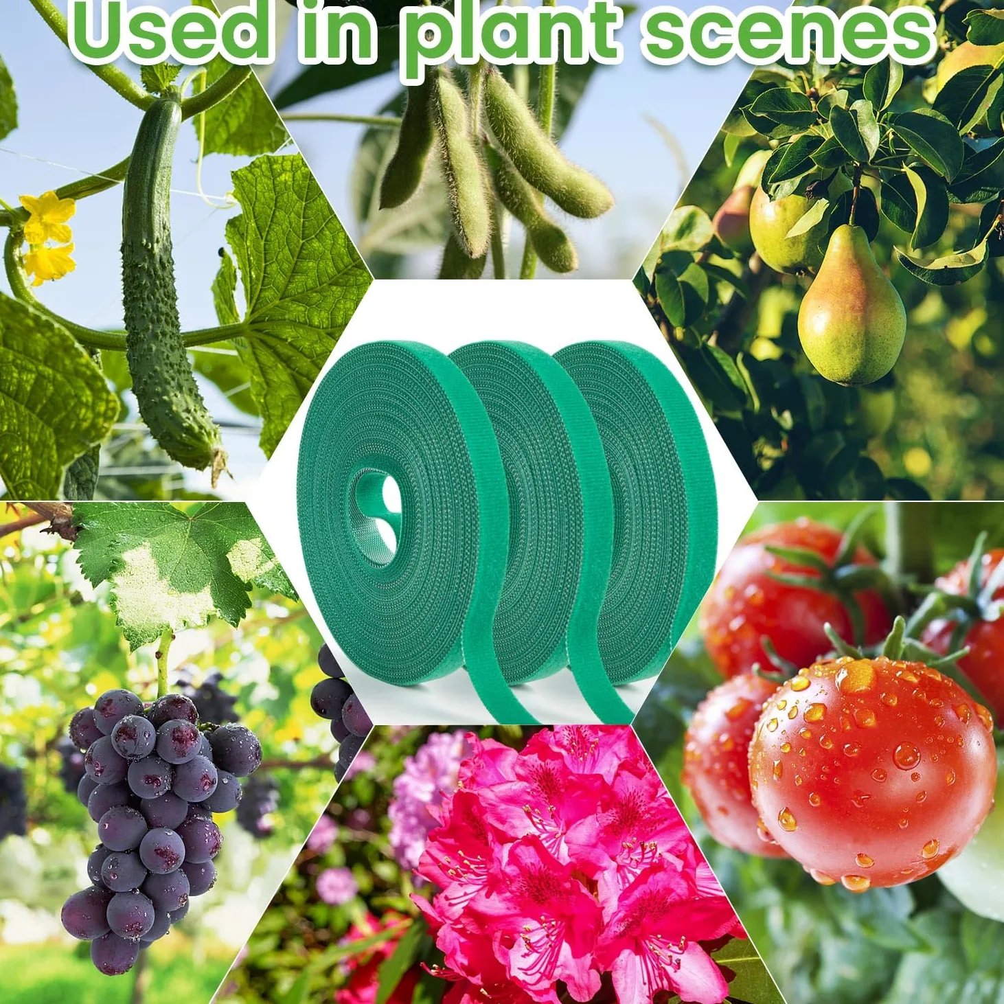 Lot de 12 rouleaux d'attaches de jardin, attaches torsadées pour plantes de 1,27 cm, 120,1 m, ruban vert, doux et attaches pour plantes de tomate, pour jardinage, maison, bureau